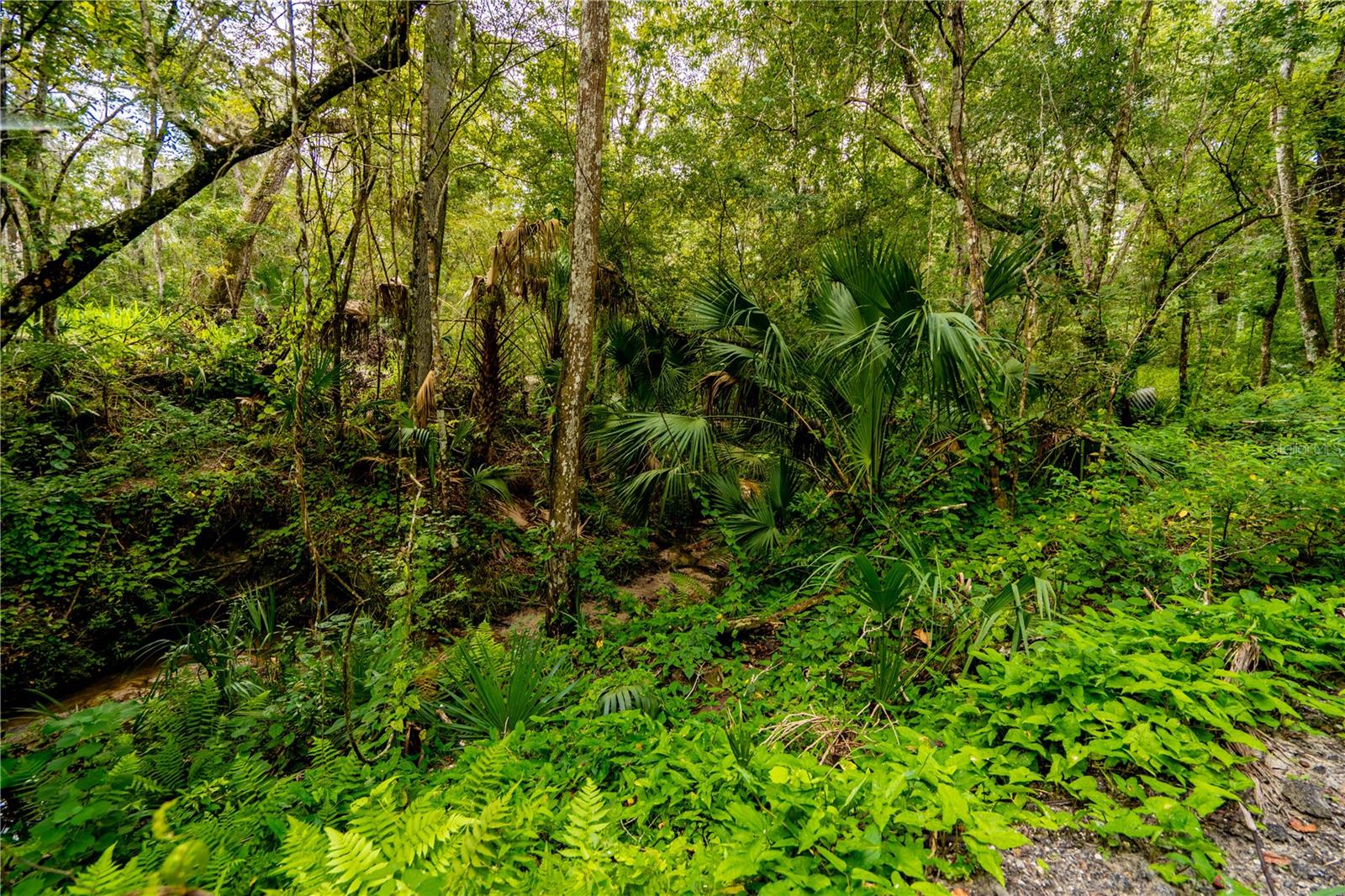 1525 PONCE DE LEON BOULEVARD