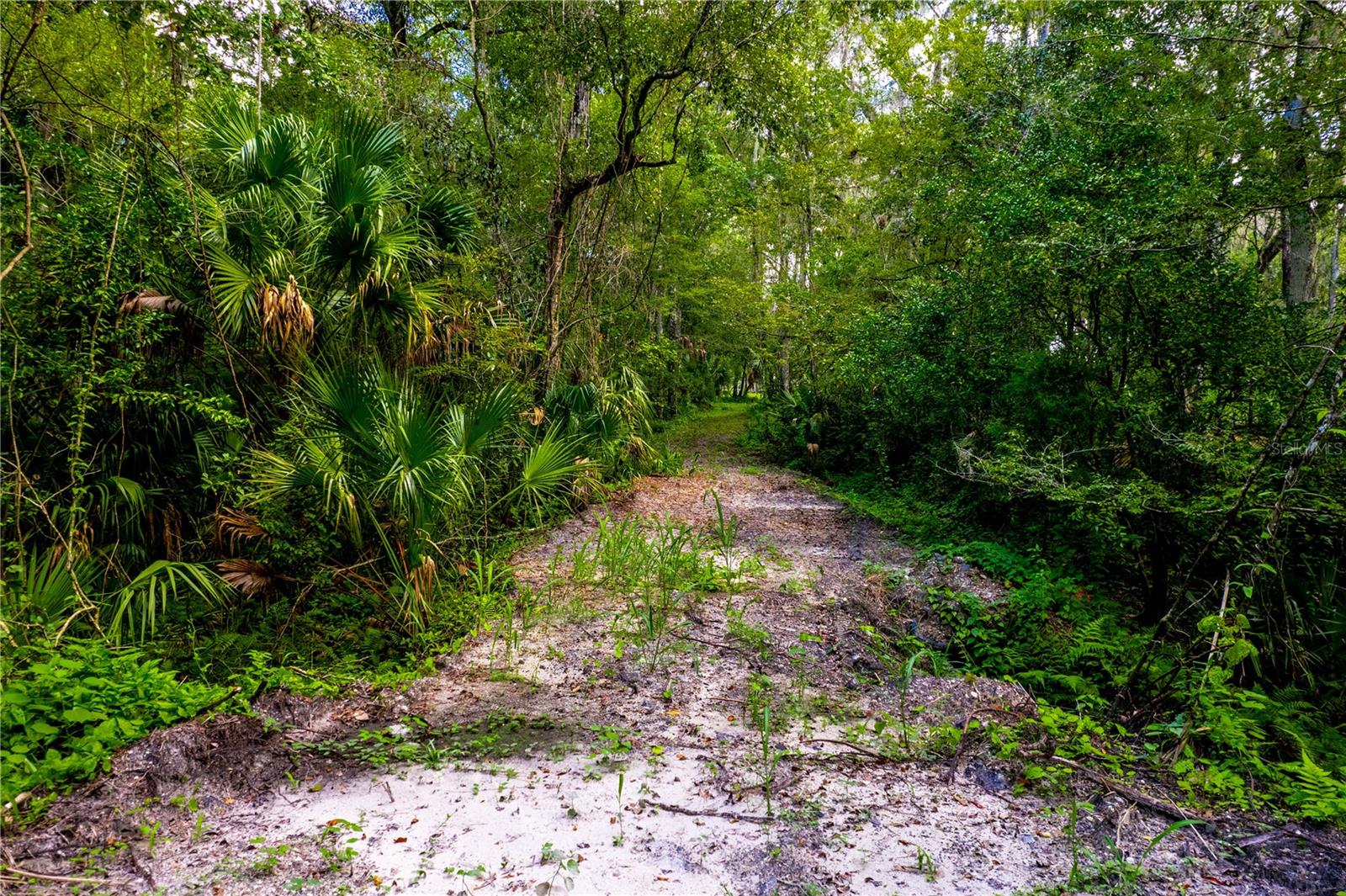 1525 PONCE DE LEON BOULEVARD