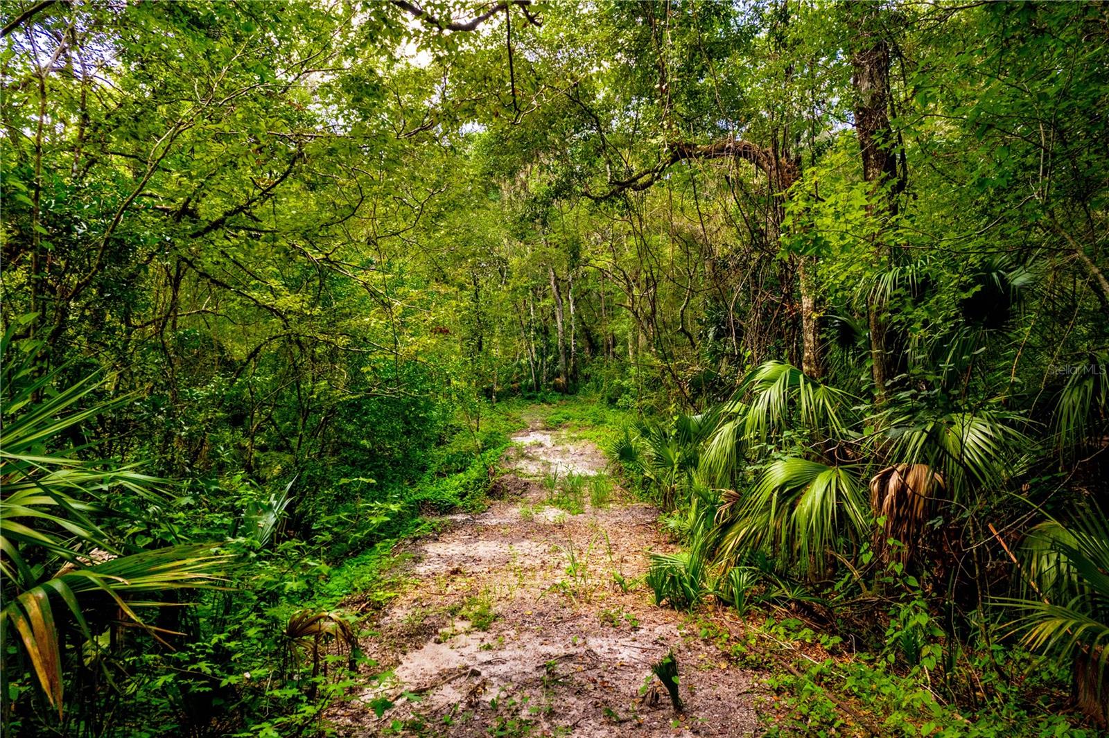 1525 PONCE DE LEON BOULEVARD