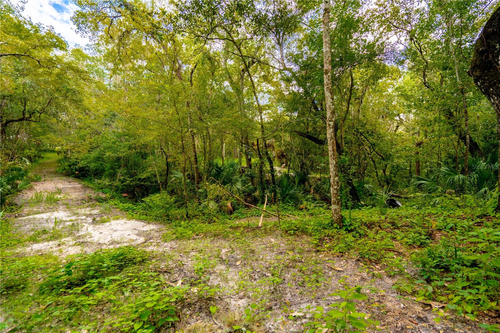 1525 PONCE DE LEON BOULEVARD