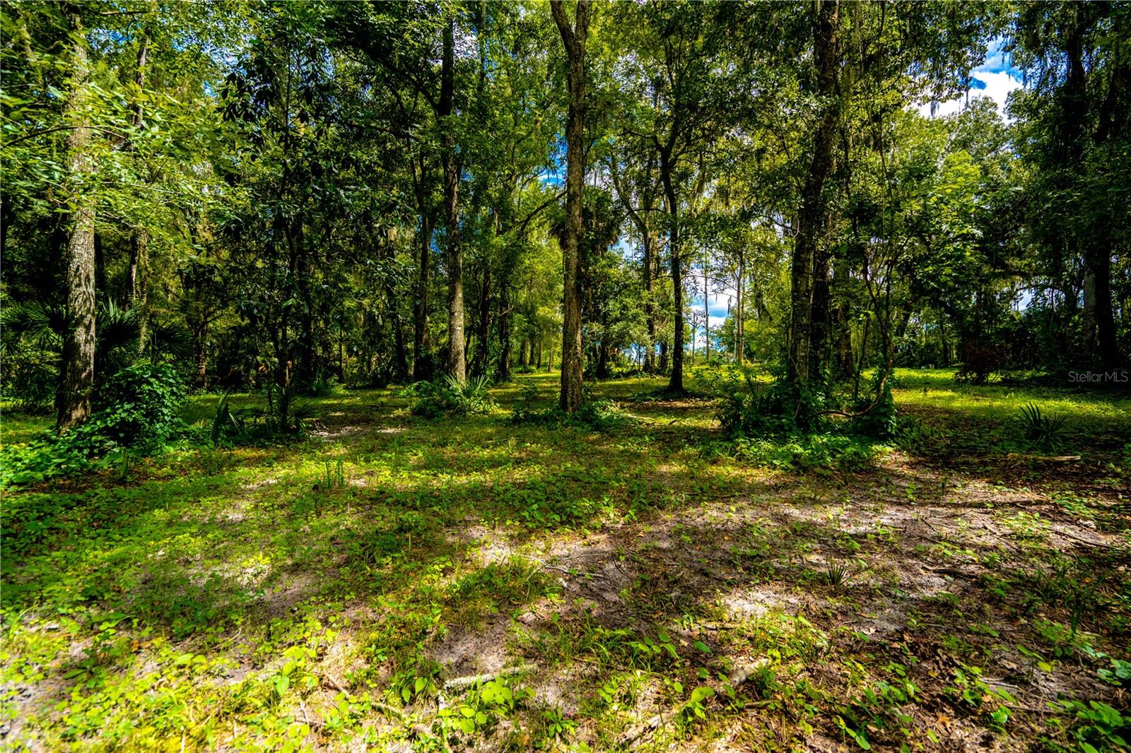 1525 PONCE DE LEON BOULEVARD