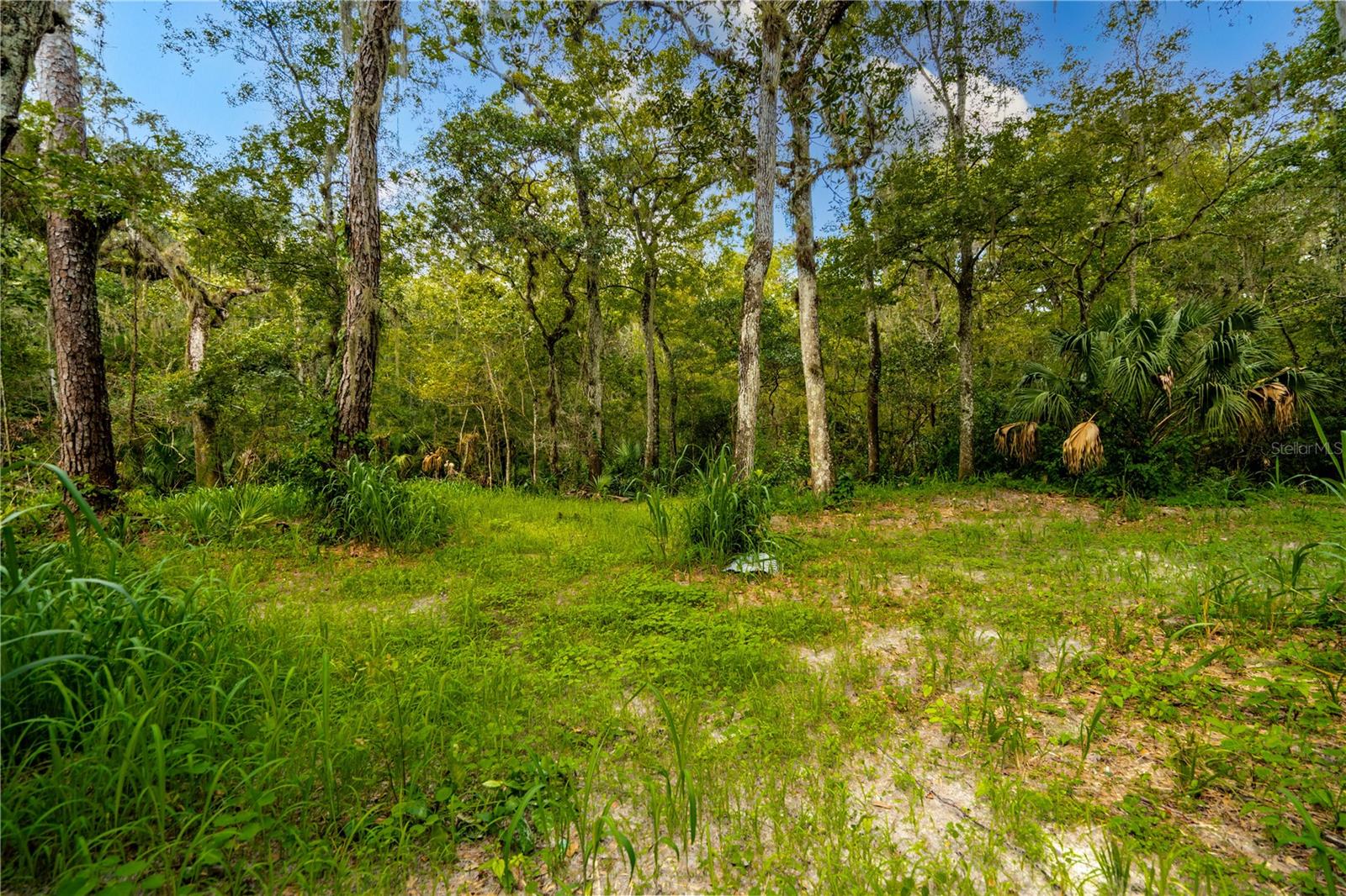 1525 PONCE DE LEON BOULEVARD