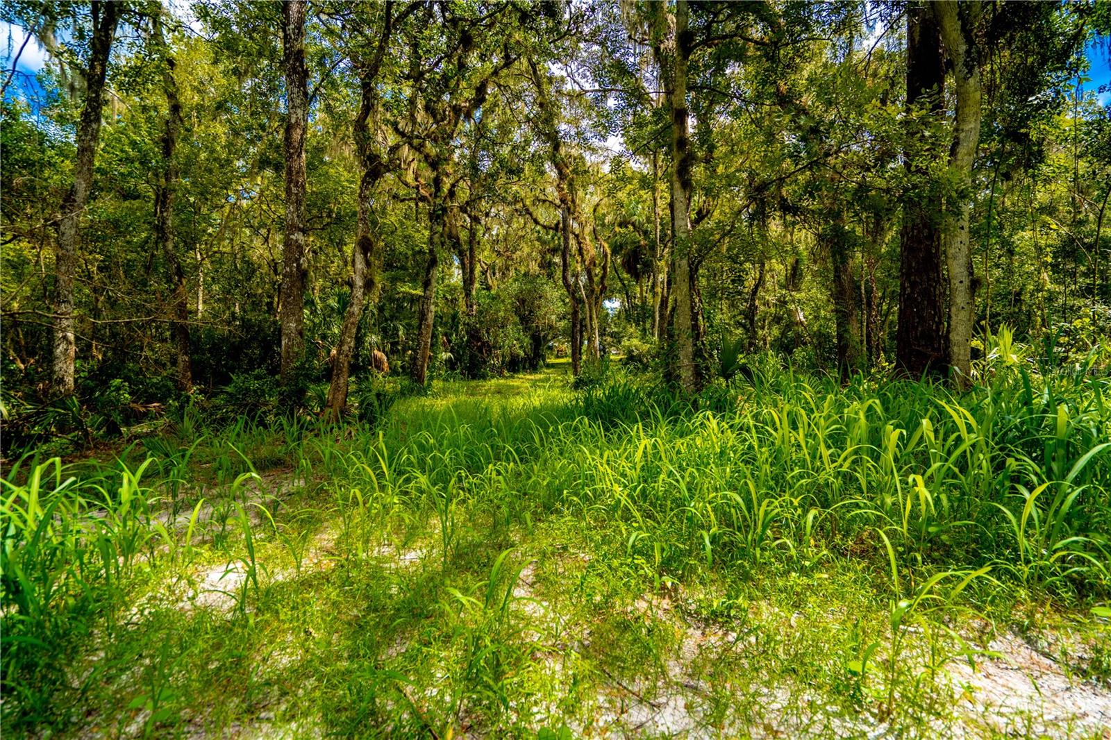 1525 PONCE DE LEON BOULEVARD