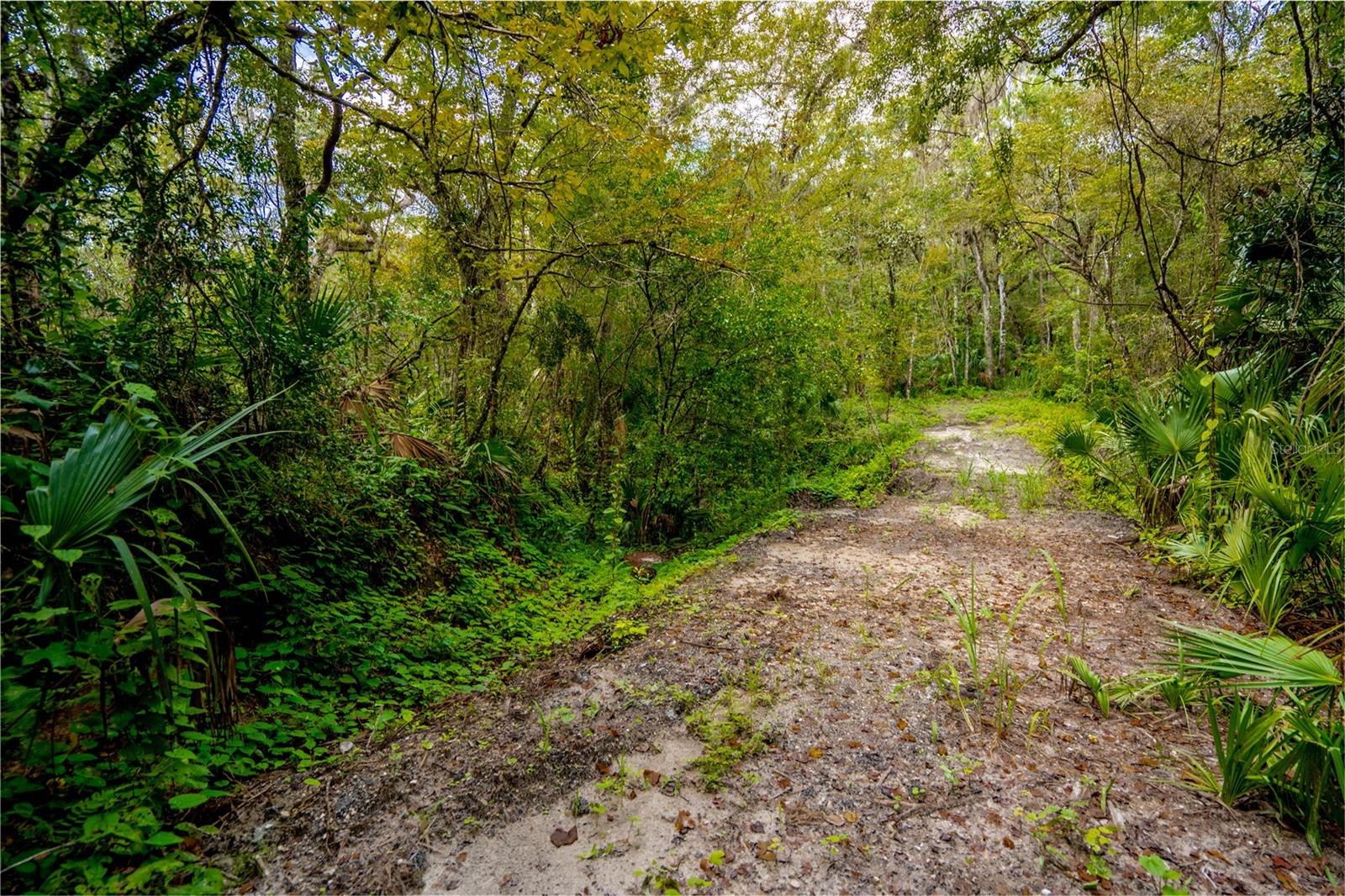 1525 PONCE DE LEON BOULEVARD