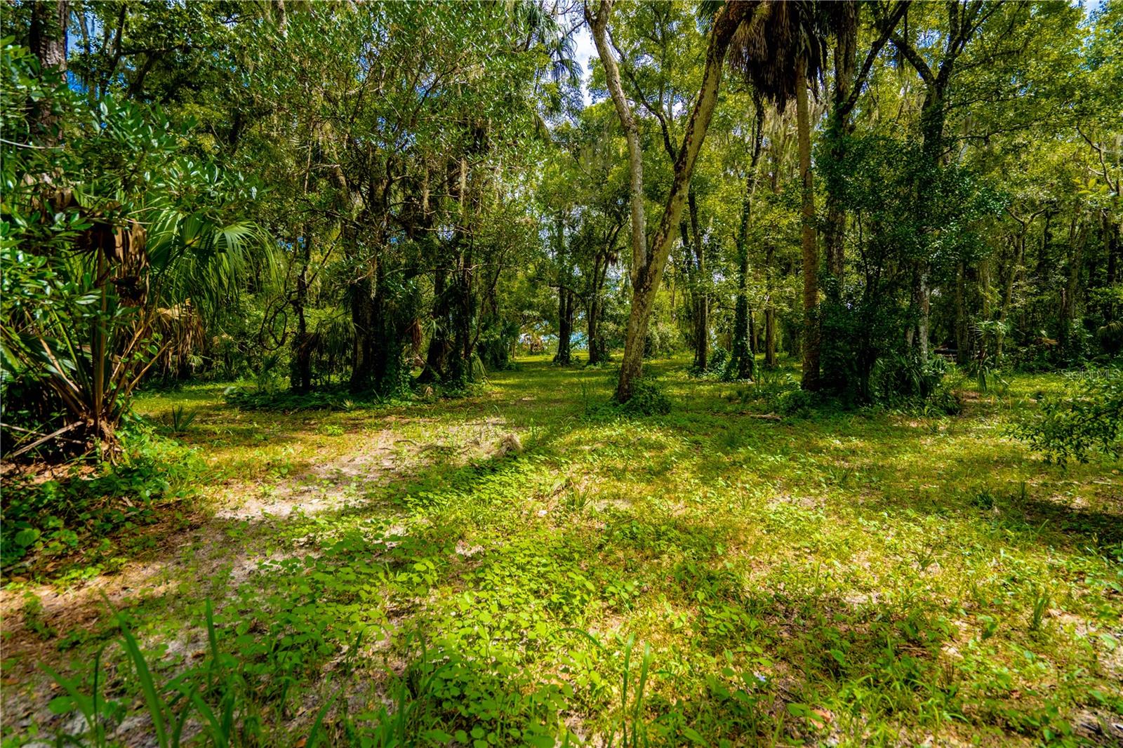 1525 PONCE DE LEON BOULEVARD