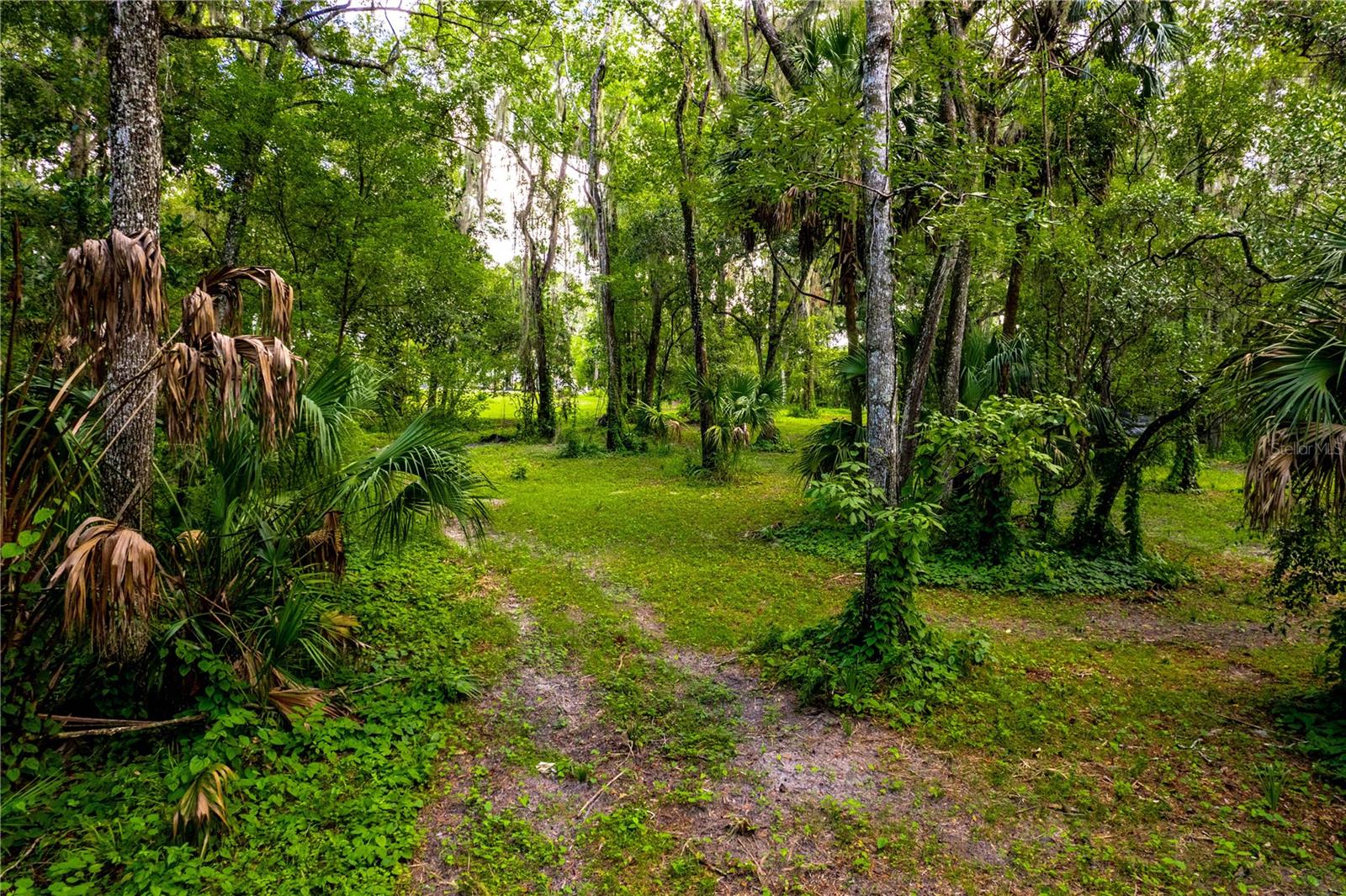 1525 PONCE DE LEON BOULEVARD