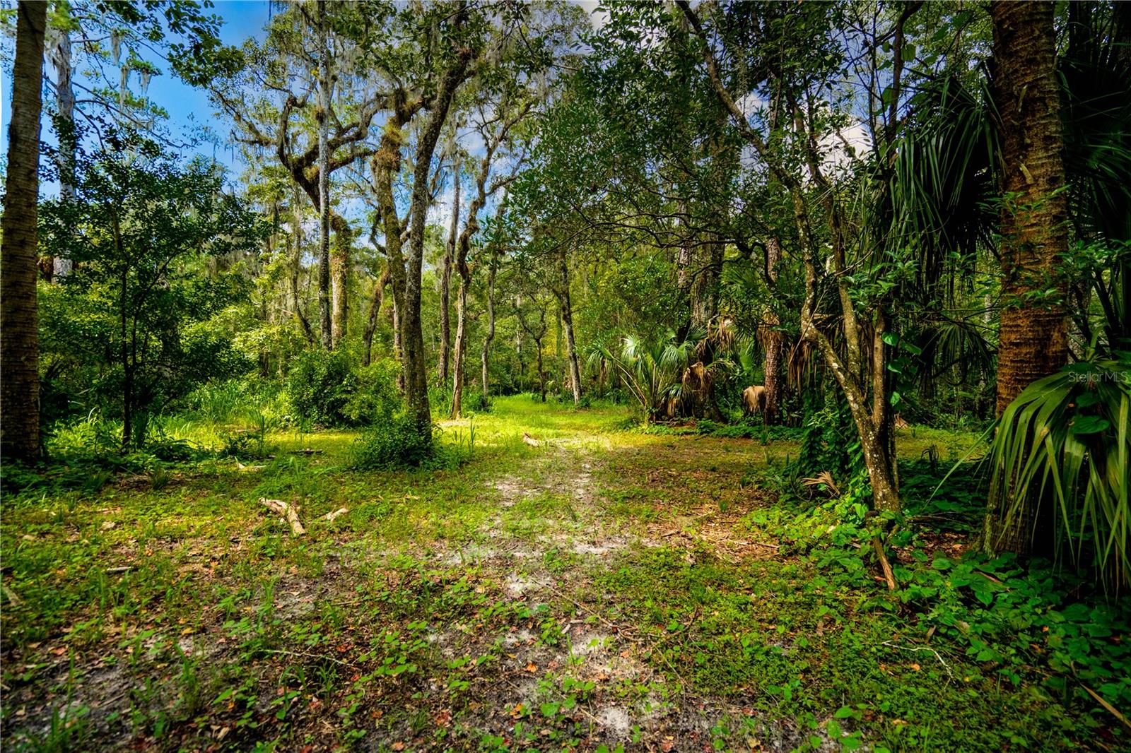 1525 PONCE DE LEON BOULEVARD