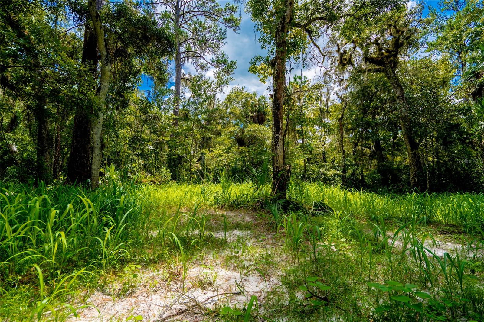 1525 PONCE DE LEON BOULEVARD