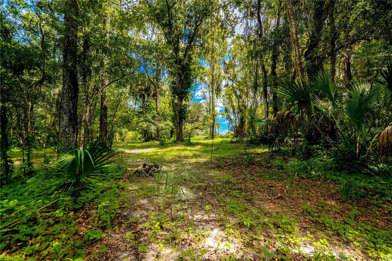 1525 PONCE DE LEON BOULEVARD