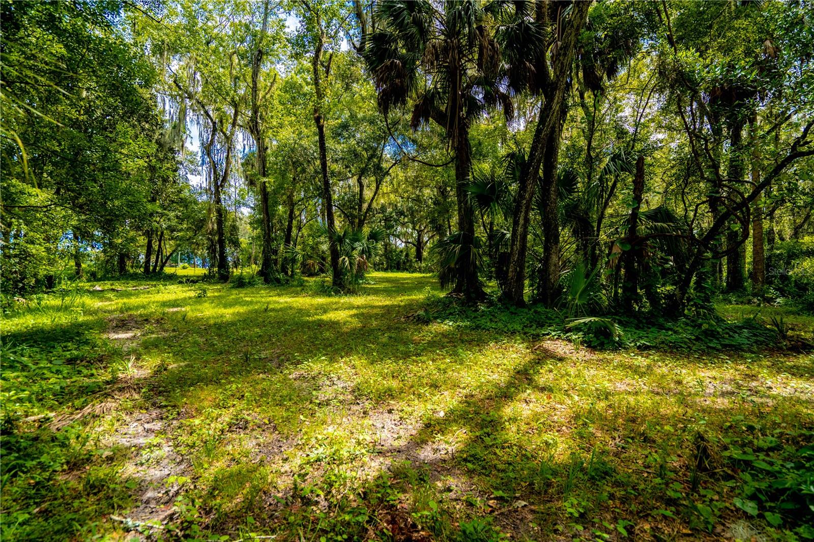 1525 PONCE DE LEON BOULEVARD