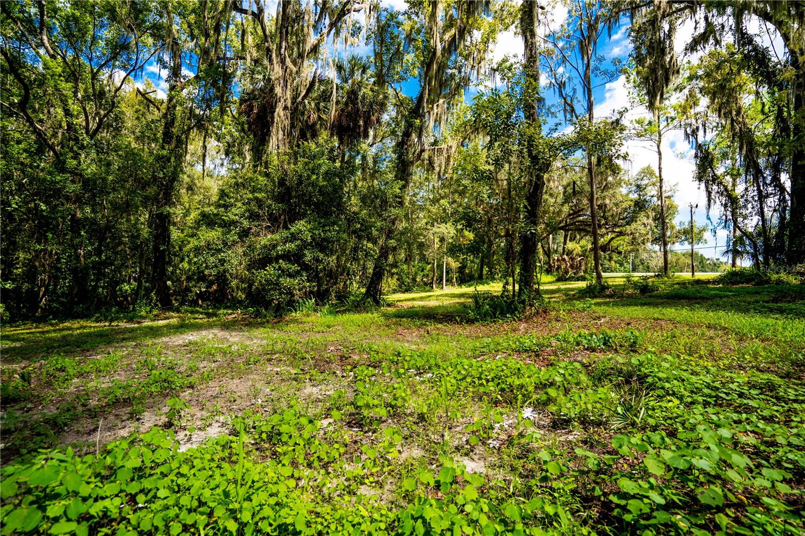 1525 PONCE DE LEON BOULEVARD