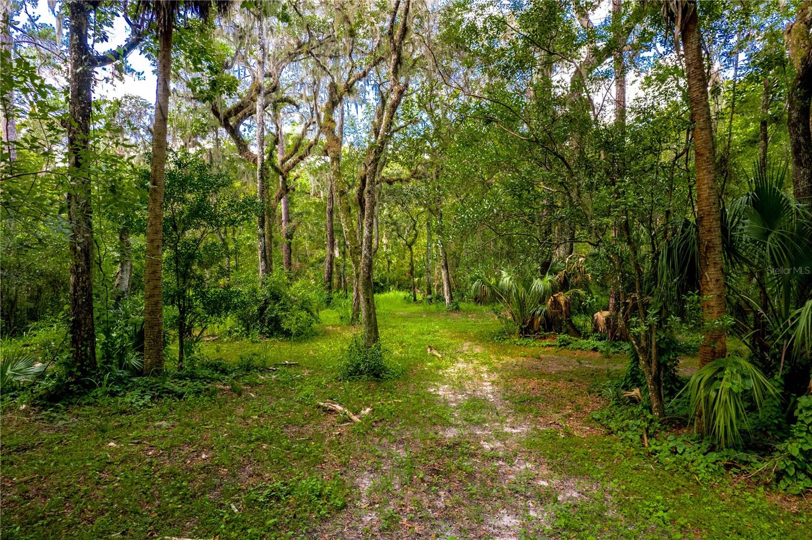 1525 PONCE DE LEON BOULEVARD