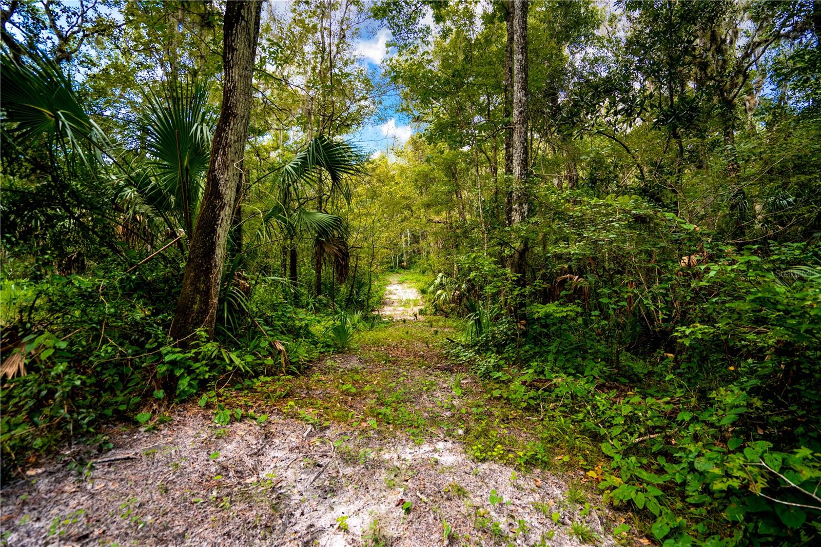 1525 PONCE DE LEON BOULEVARD