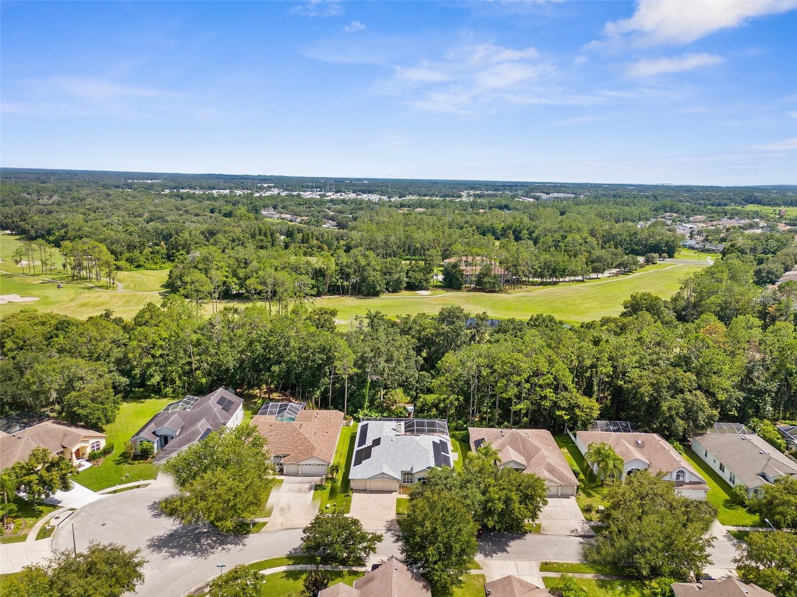 34838 ARBOR GREEN PL