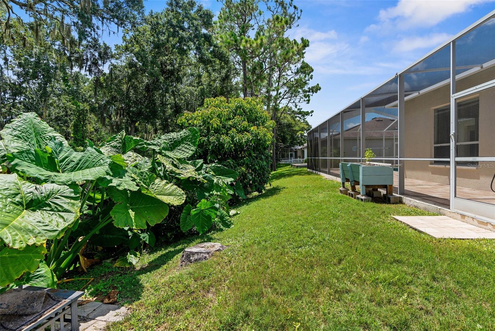 34838 ARBOR GREEN PL