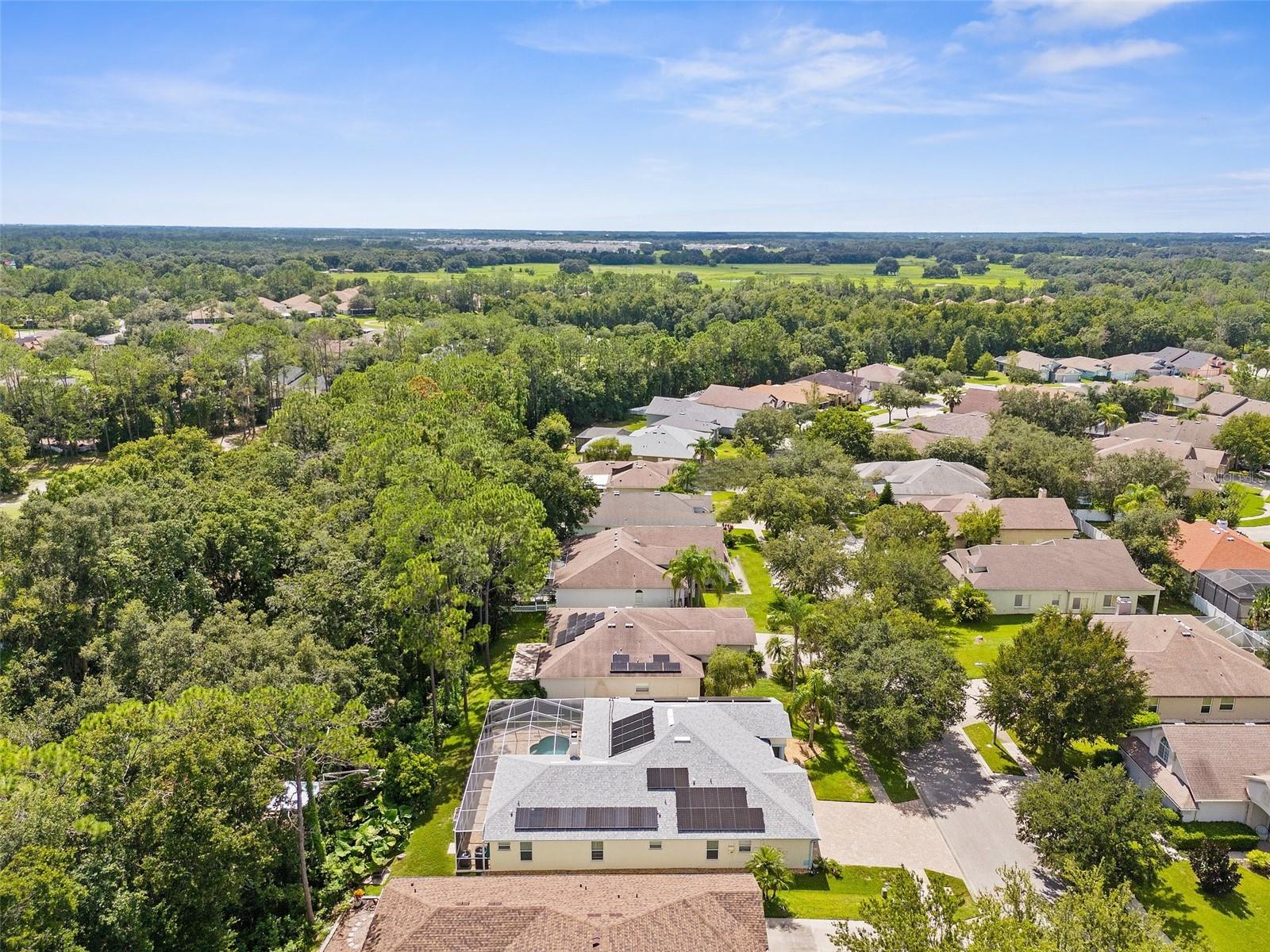 34838 ARBOR GREEN PL