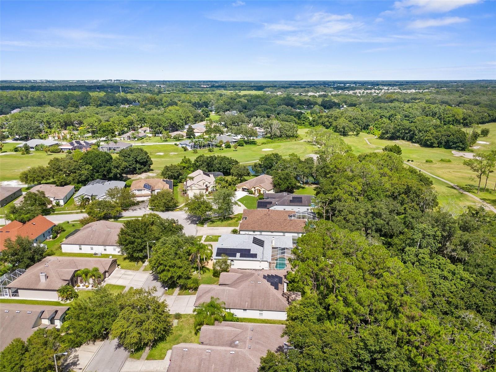 34838 ARBOR GREEN PL