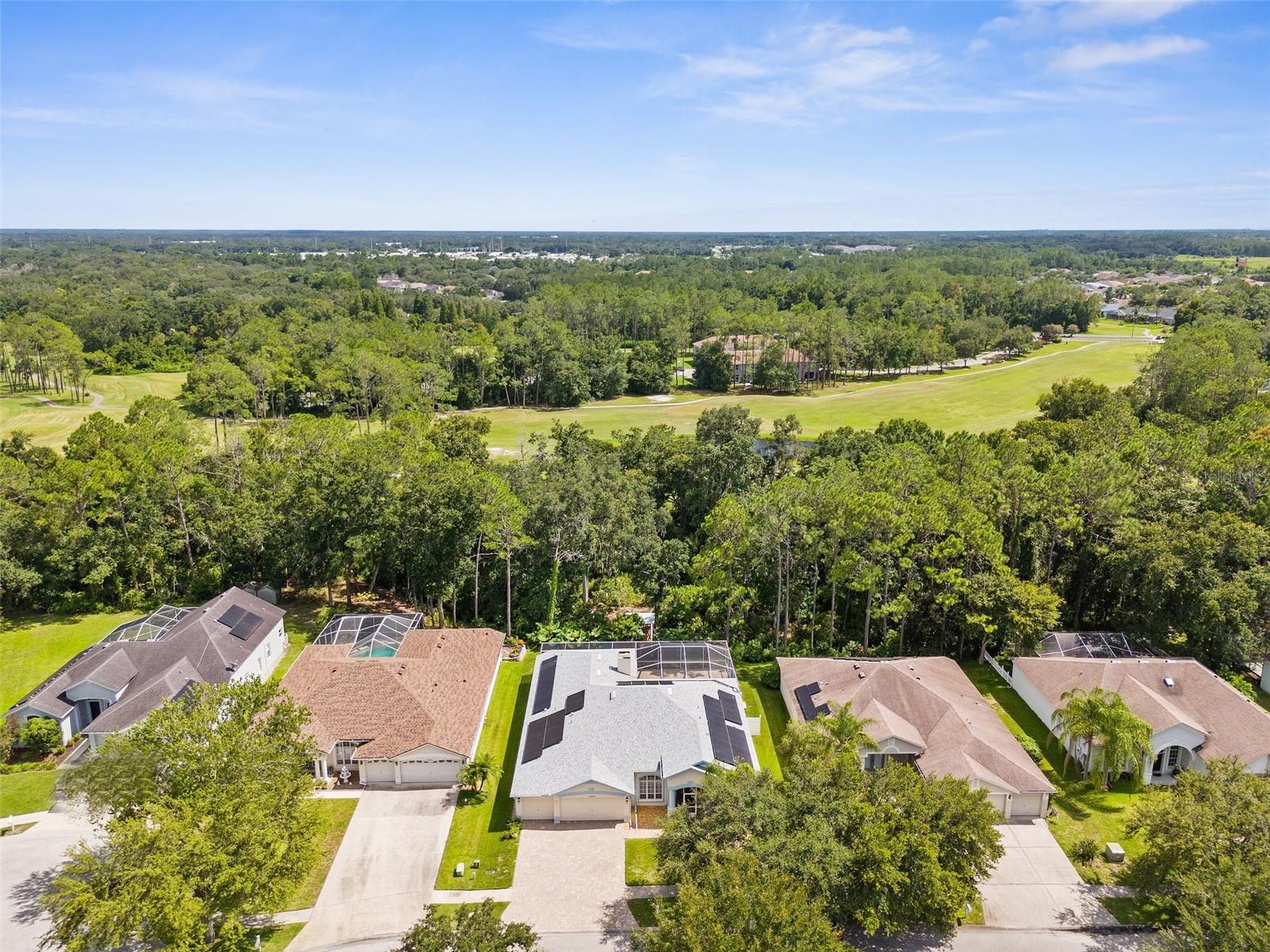 34838 ARBOR GREEN PL