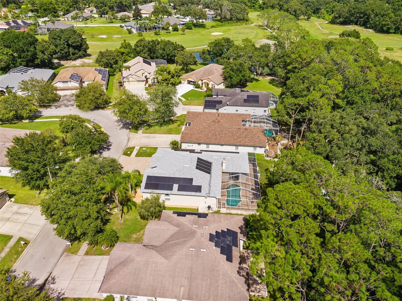 34838 ARBOR GREEN PL