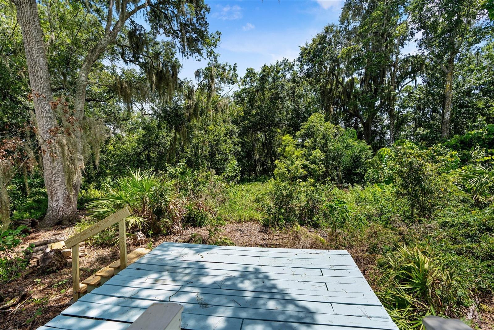 34838 ARBOR GREEN PL