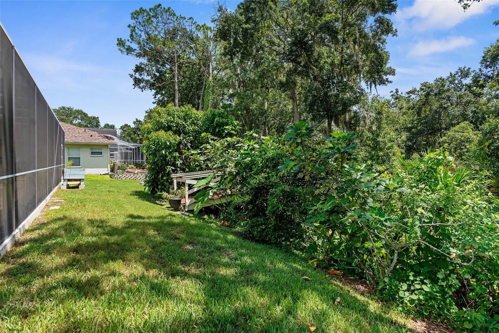 34838 ARBOR GREEN PL