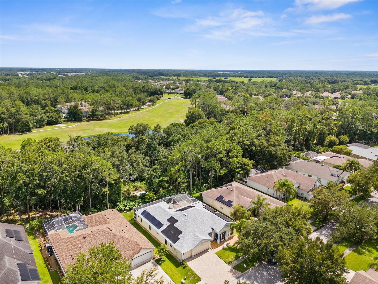 34838 ARBOR GREEN PL