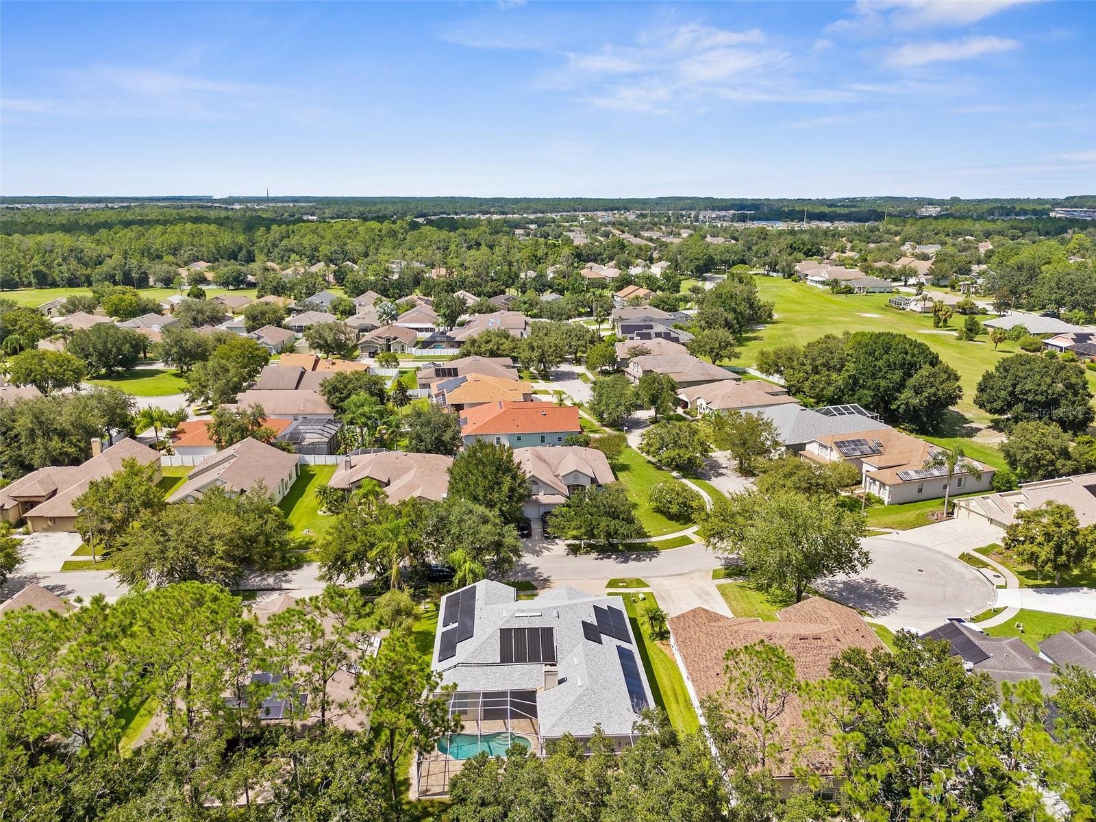34838 ARBOR GREEN PL