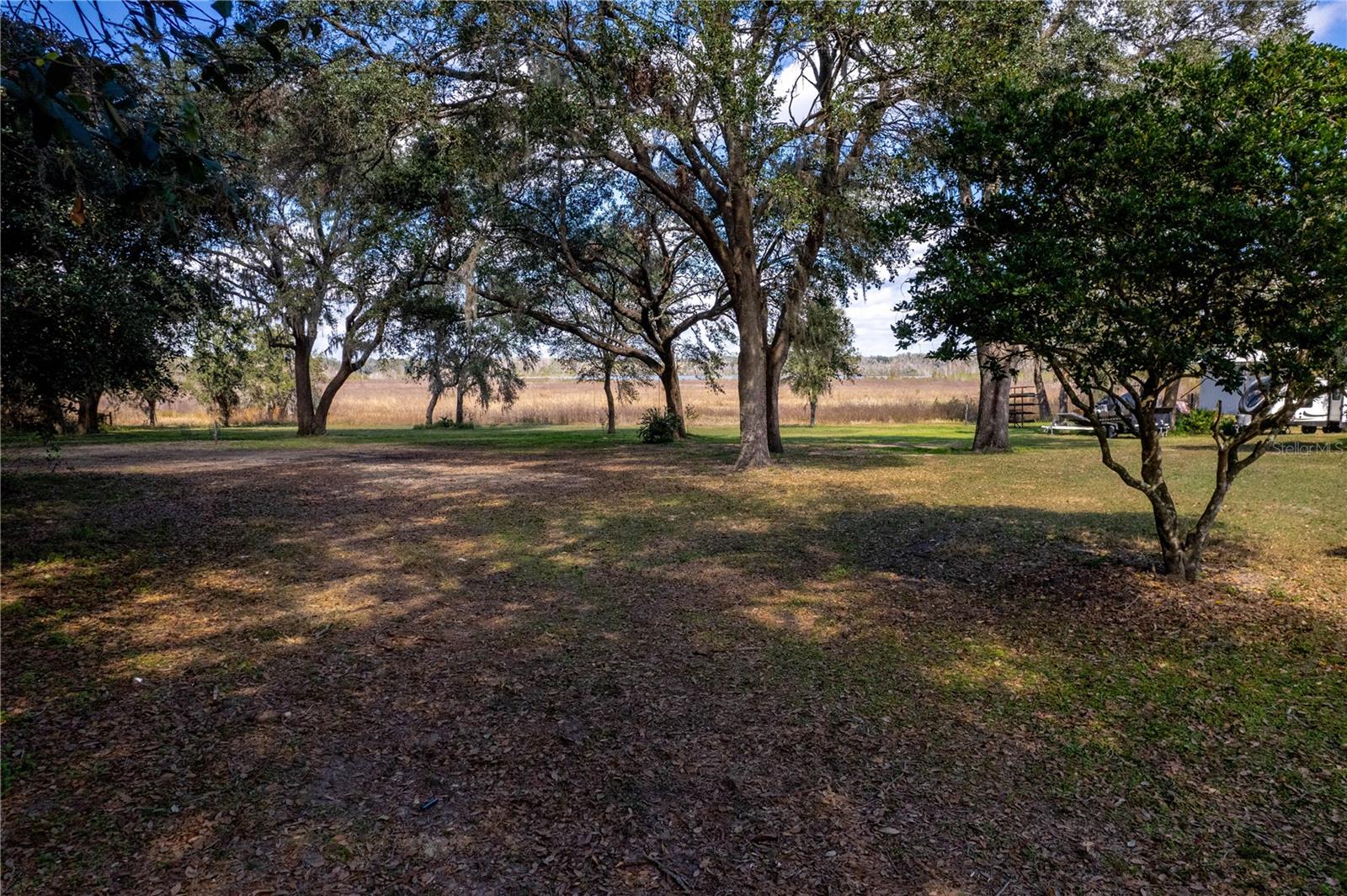 33501 PROSPECT RD