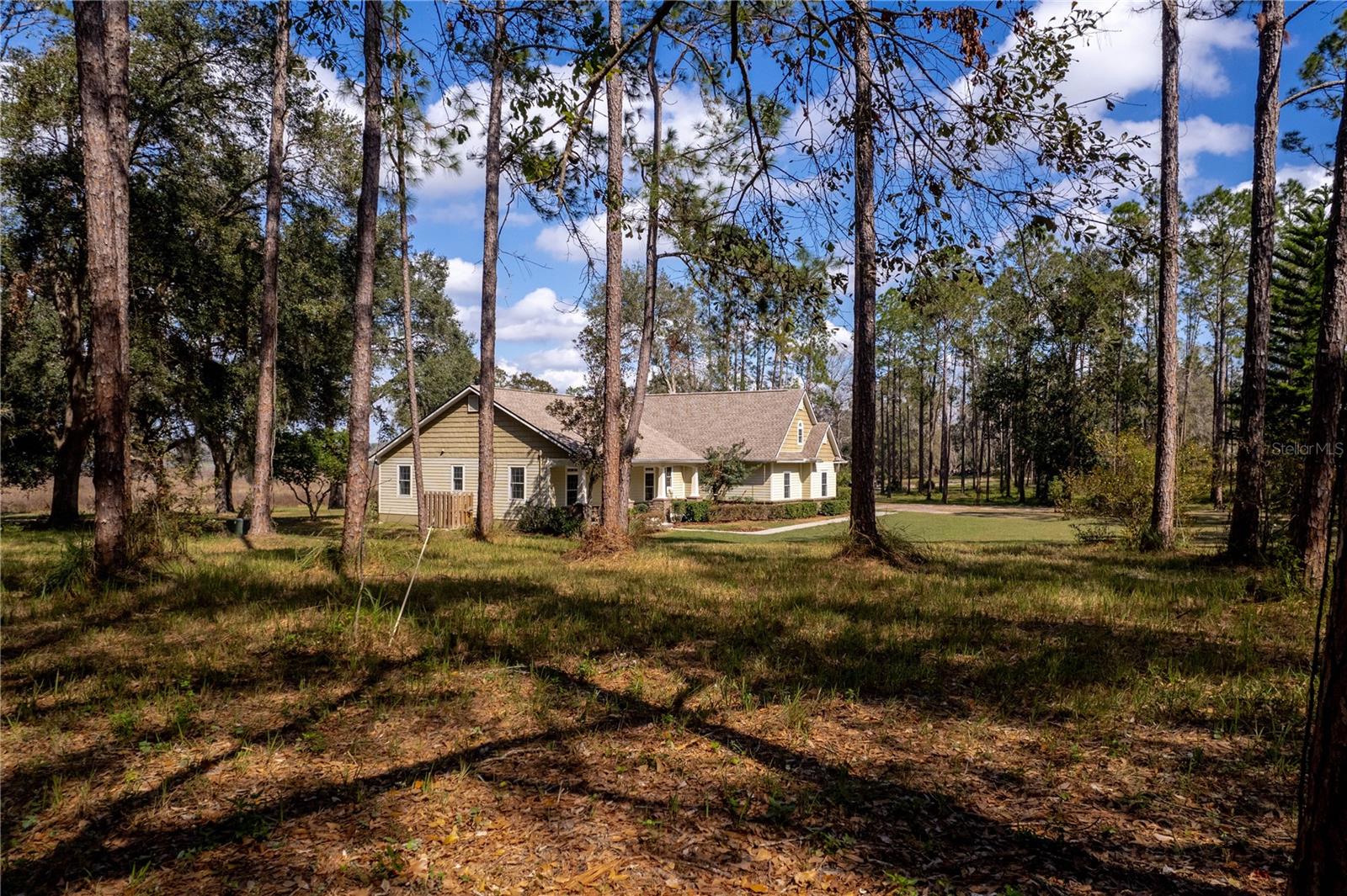 33501 PROSPECT RD