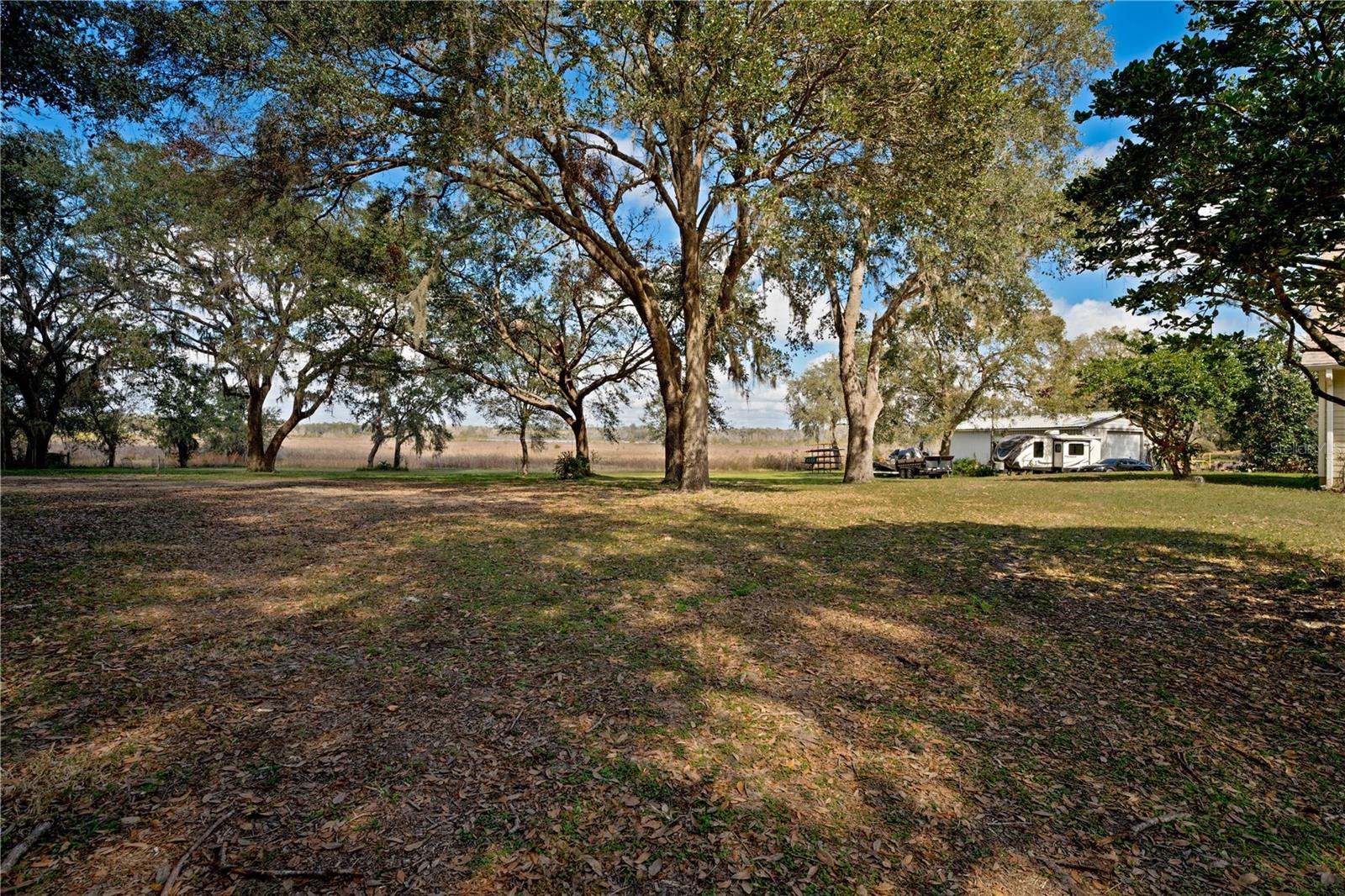33501 PROSPECT RD