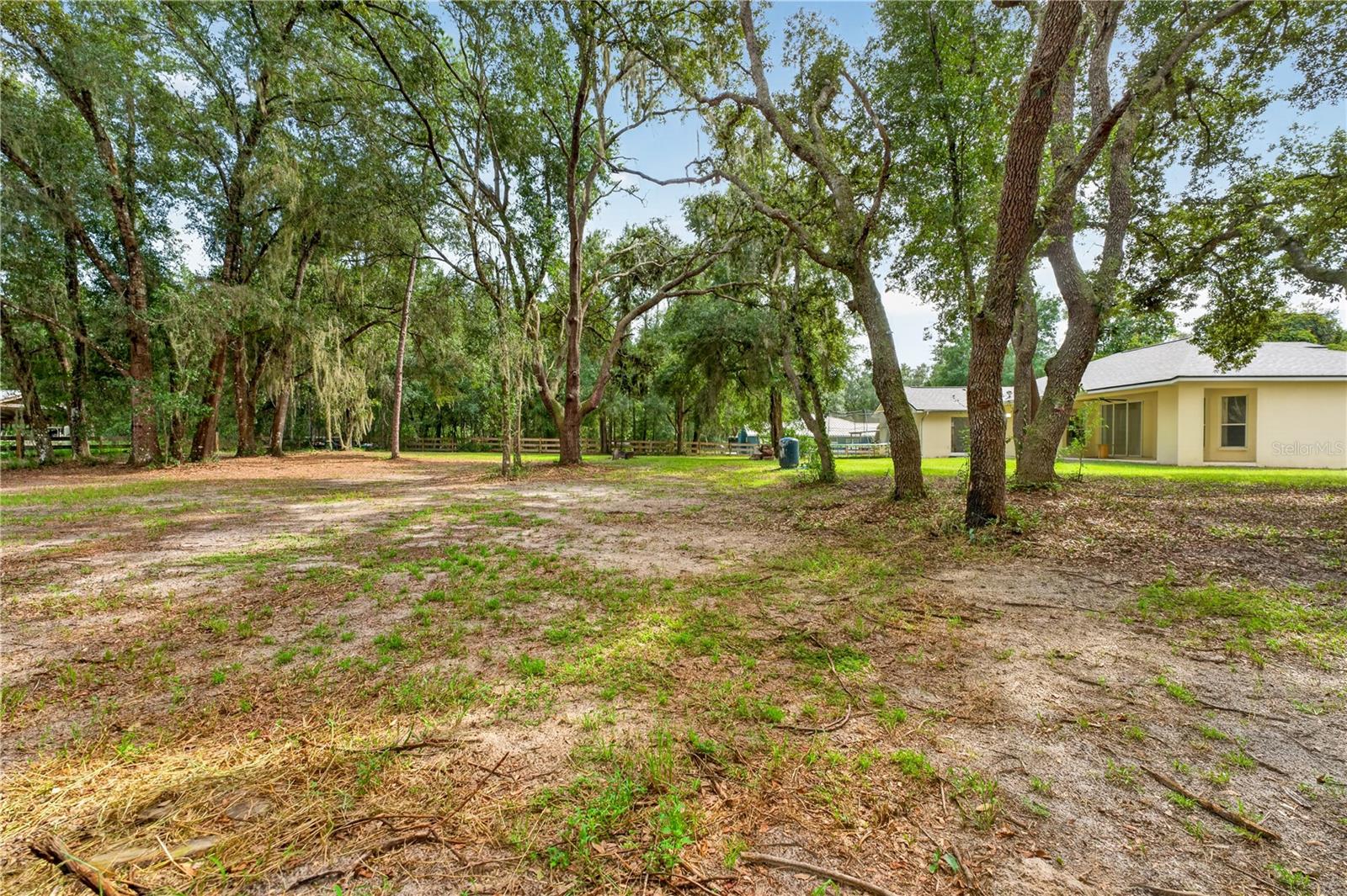 Tree-shaded yard with sandy ground and a yellow single-story house at the right.