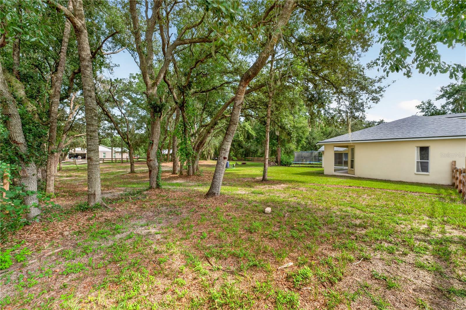 Tree-shaded backyard with a grassy lawn, mature trees, and the rear of a single-story home.