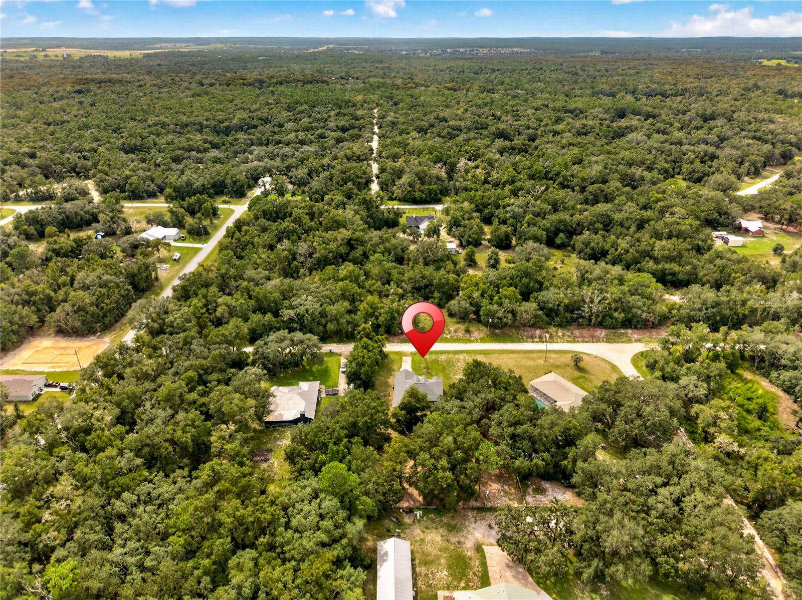 Aerial view of a wooded Webster property marked with a red pin, with scattered homes and roads nearby.