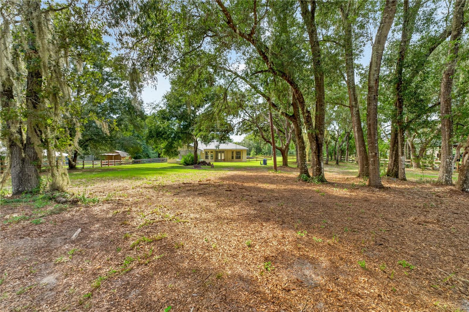 Tree-shaded yard with mature trees and a single-story home in the distance.