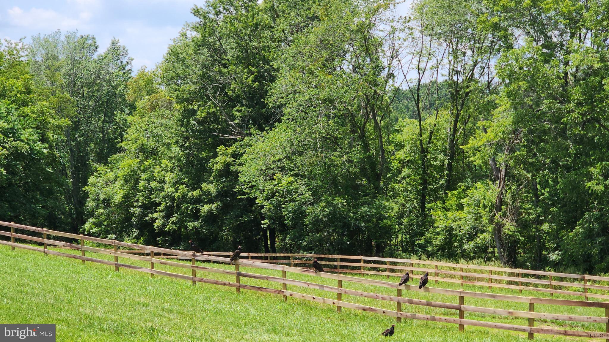 6478 LAUREL HILL LANE