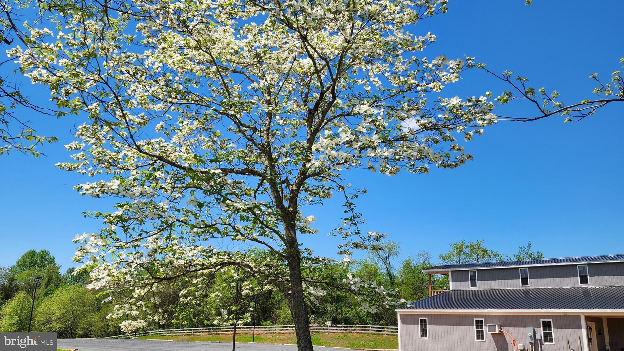 6478 LAUREL HILL LANE