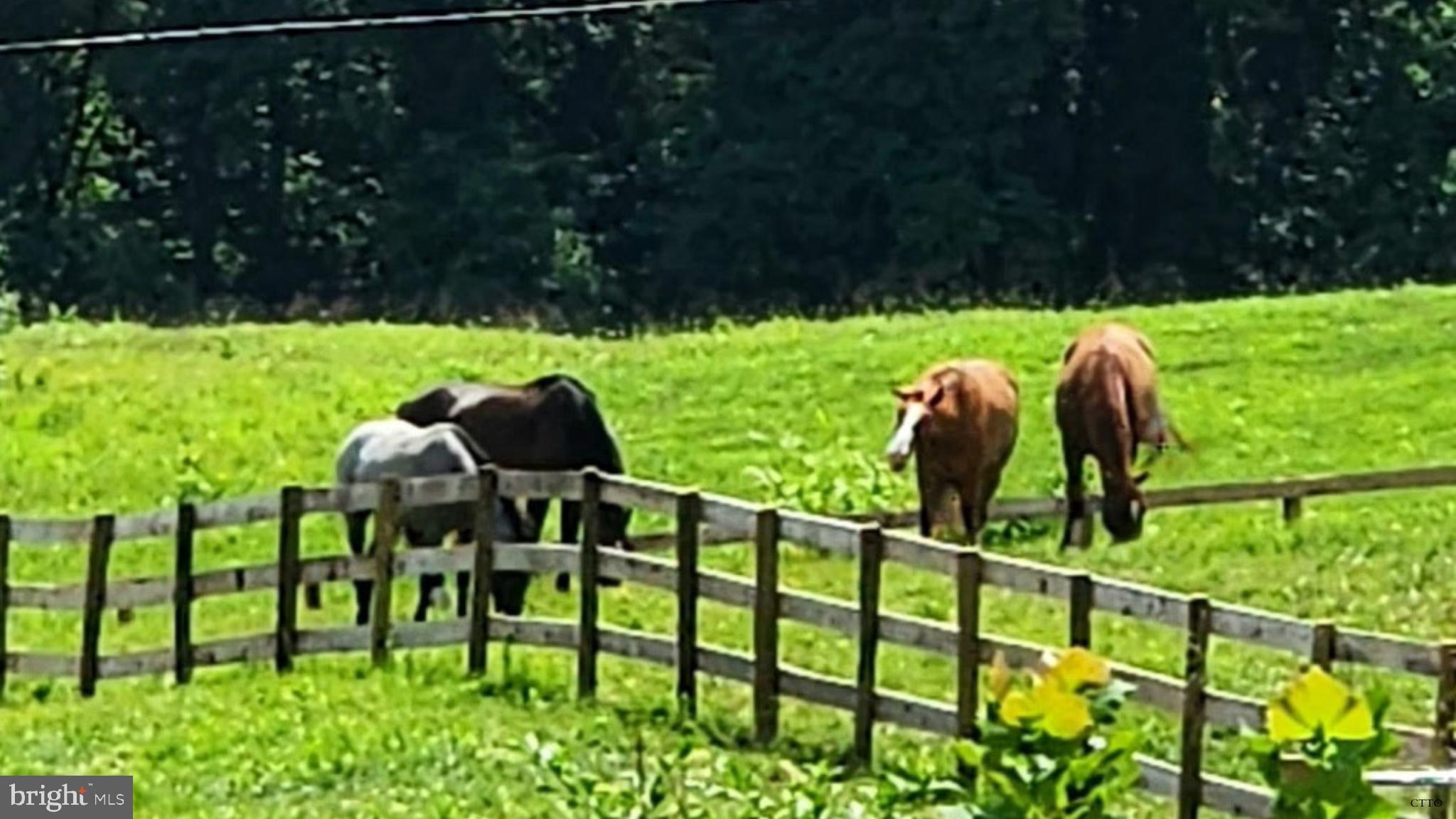 6478 LAUREL HILL LANE