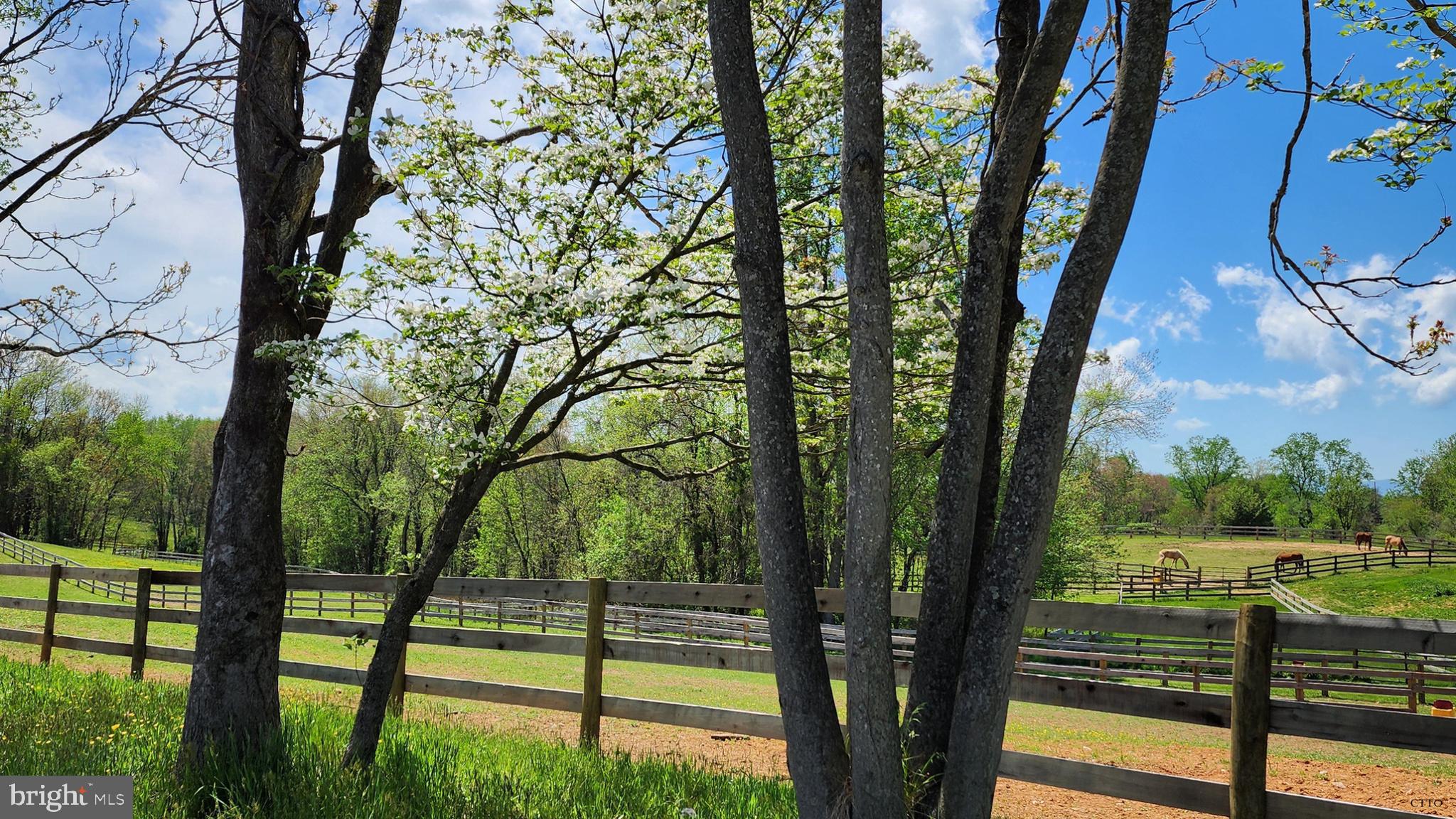 6478 LAUREL HILL LANE