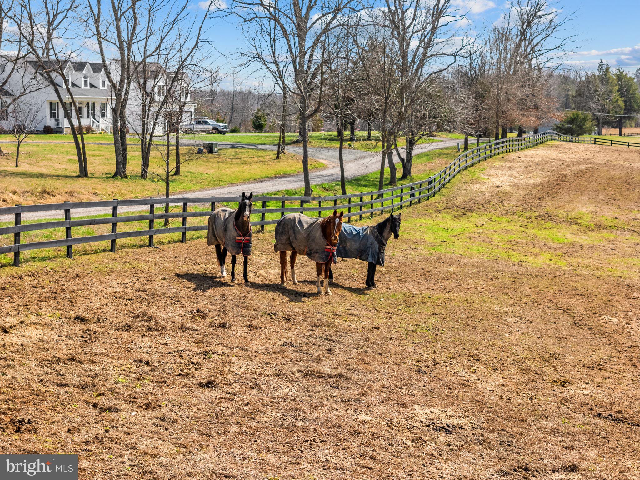 6478 LAUREL HILL LANE