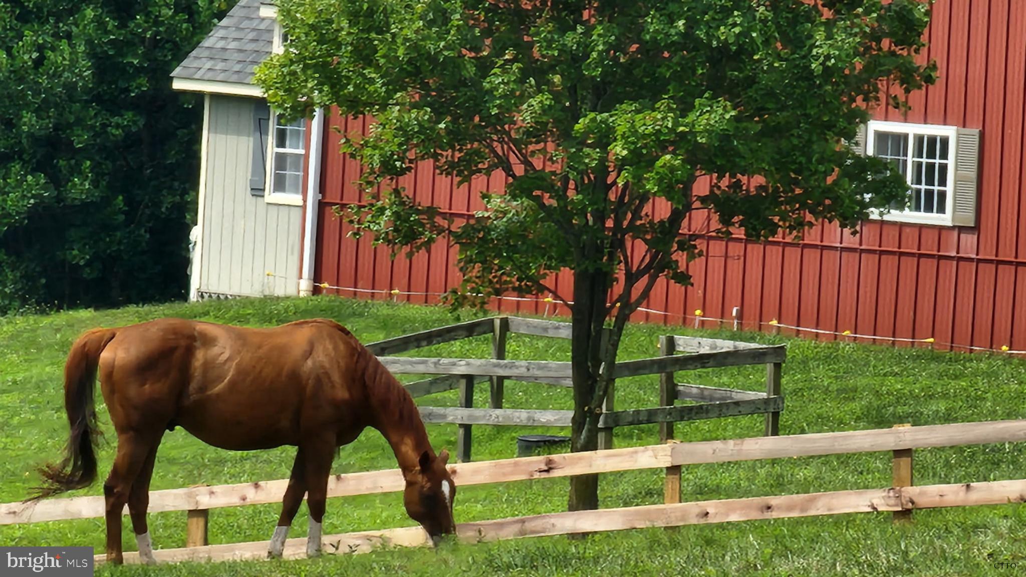 6478 LAUREL HILL LANE