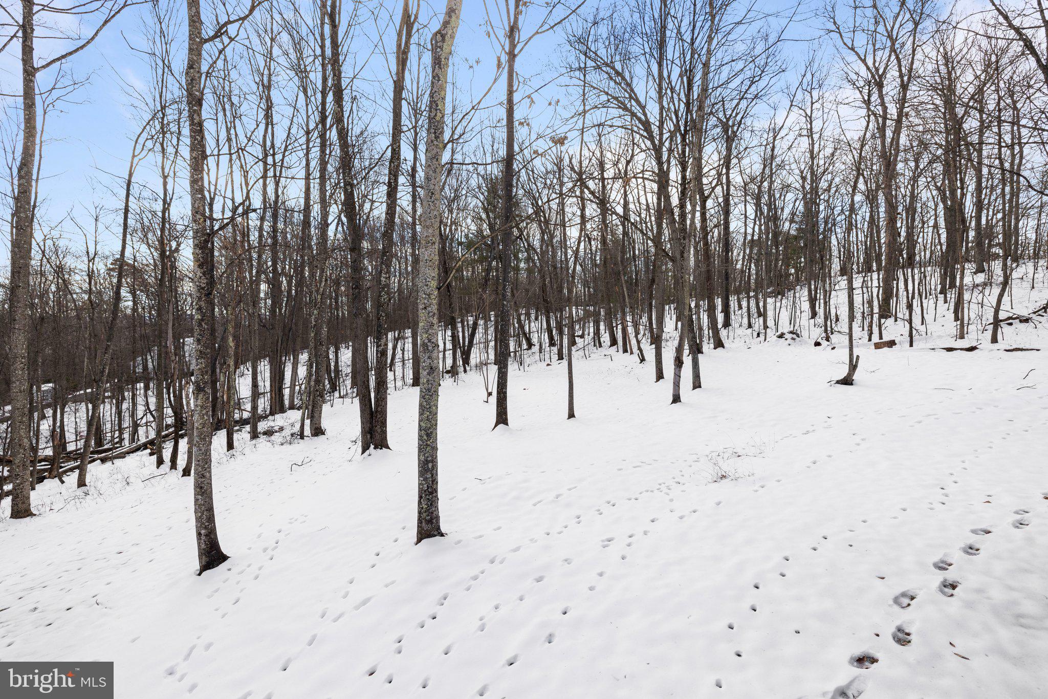 9836 TIMBER HEIGHTS