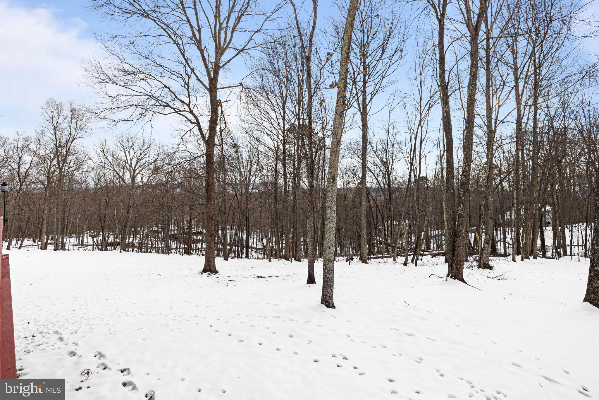 9836 TIMBER HEIGHTS