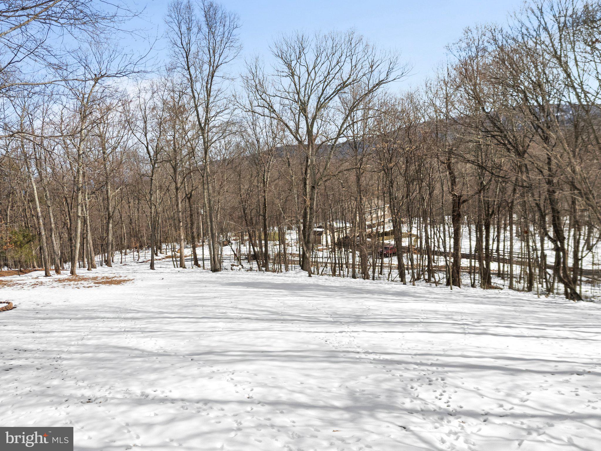 9836 TIMBER HEIGHTS