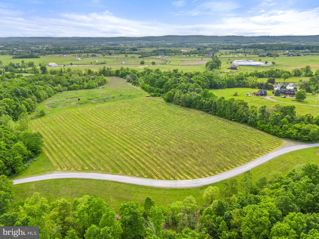 43277 SPINKS FERRY ROAD