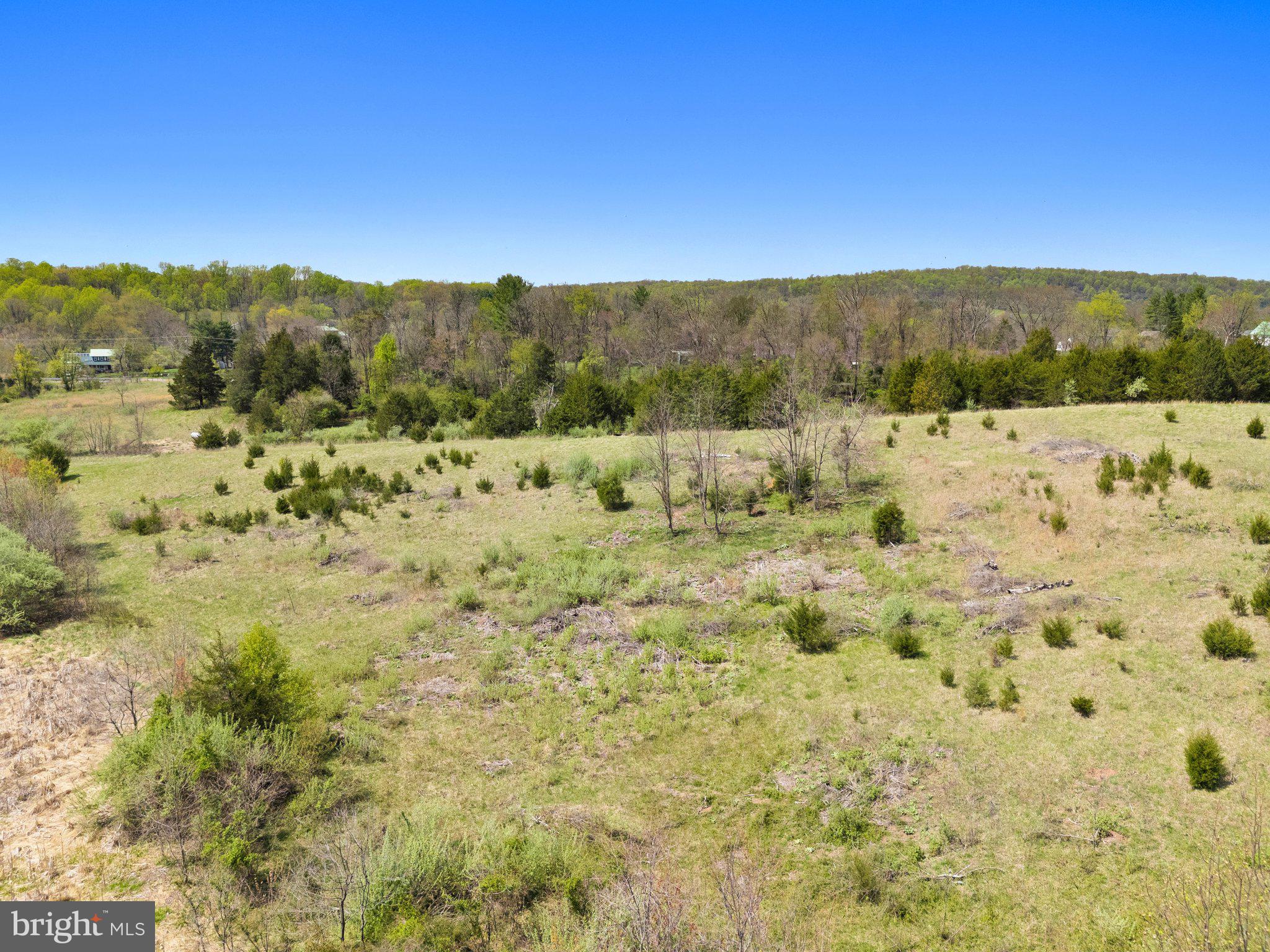 0 Stone Fox Ct #Lot 15c