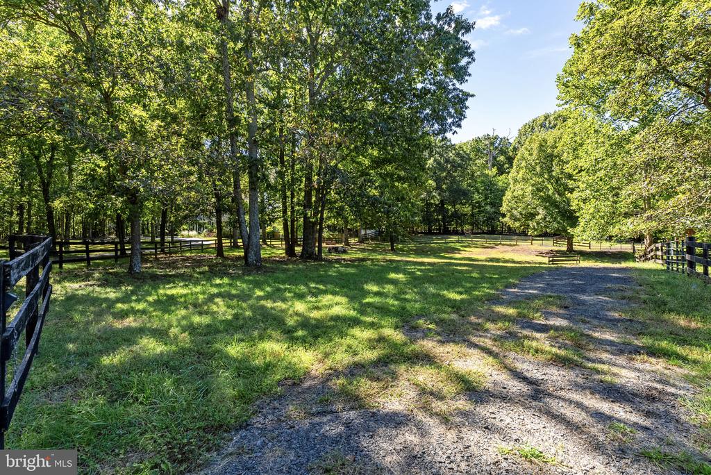 10080 GREENWICH WOOD DRIVE