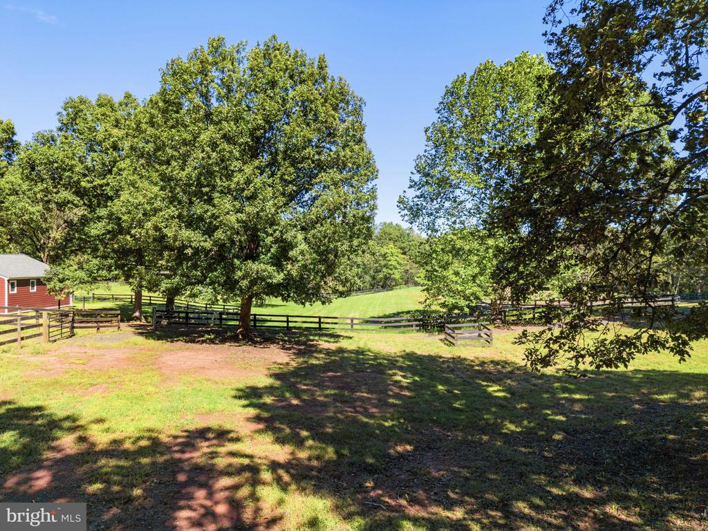10080 GREENWICH WOOD DRIVE