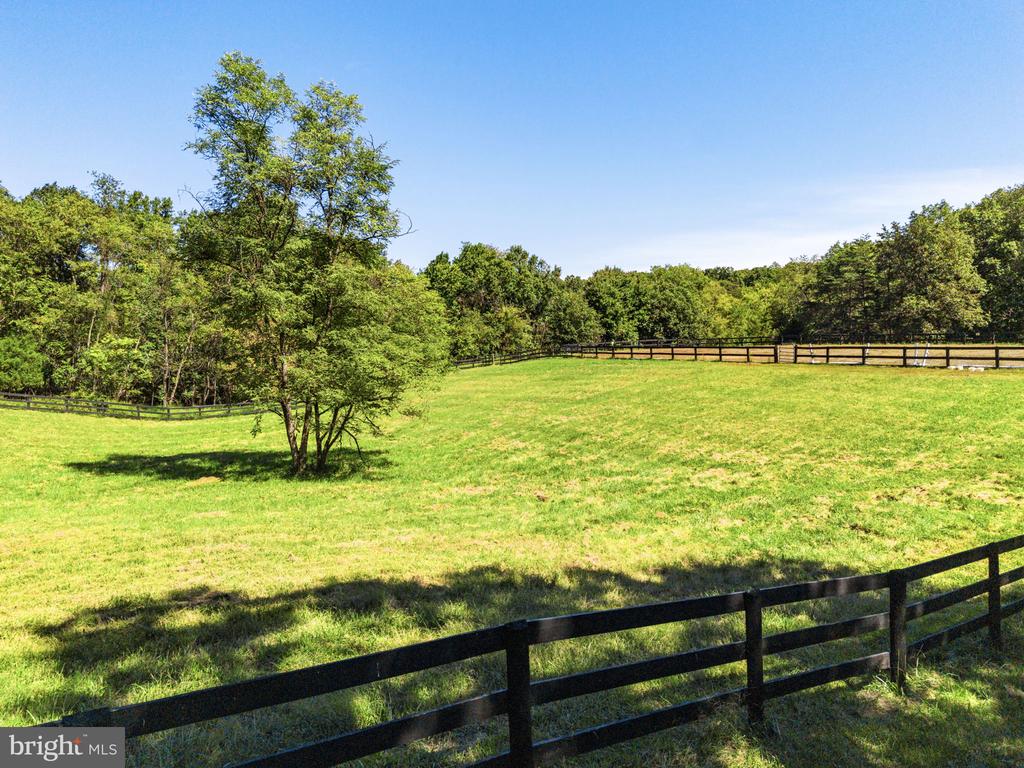 10080 GREENWICH WOOD DRIVE