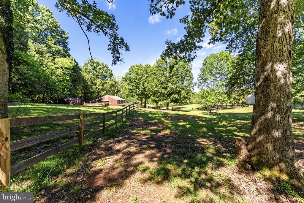 10080 GREENWICH WOOD DRIVE