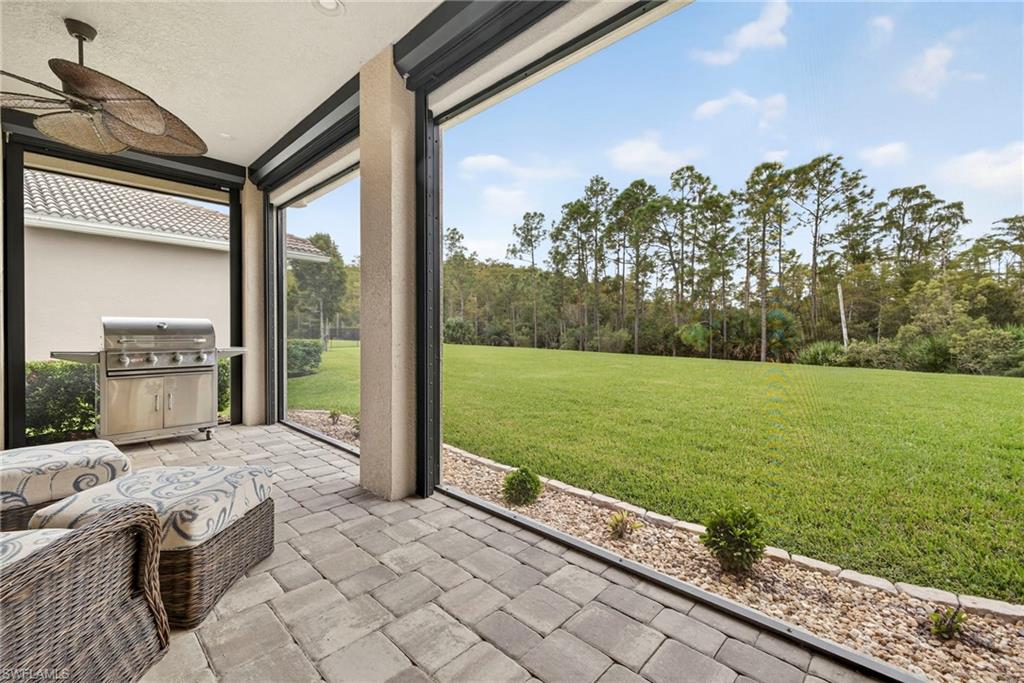 10168 Mimosa Silk DR